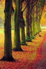 2012-11-14 01-32-00